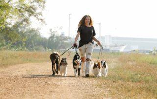 mulher branca, cabelos ondulados passeando ao ar livre com alguns cachorros simulando profissional autônomo